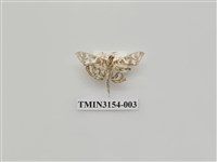 藏品(螟蛾305)的圖片